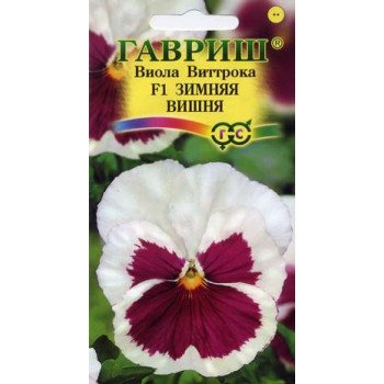 Виола Зимняя Вишня F1 /5 семян/ *Гавриш*