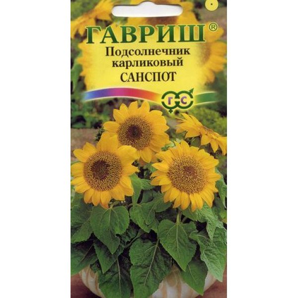 Насіння соняшнику карликового Санспот /0,5 г/ *Гавриш*