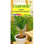 Нолина Пляшкове дерево /3 насінин/ *Гавриш*