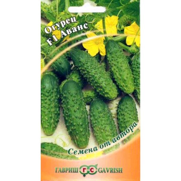 Насіння огірка Аванс F1 /10 насінин/ *Гавриш*