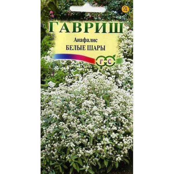 Семена анафалиса Белые Шары /0,01 г/ *Гавриш*
