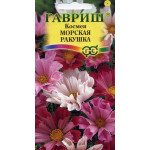 Космея Морська мушля /0,3 г/ *Гавриш*