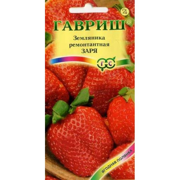 Насіння суниці Зоря /10 насінин/ *Гавриш*