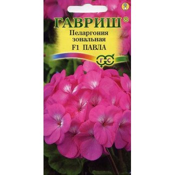 Пеларгония Павла F1 /4 семечка/ *Гавриш*