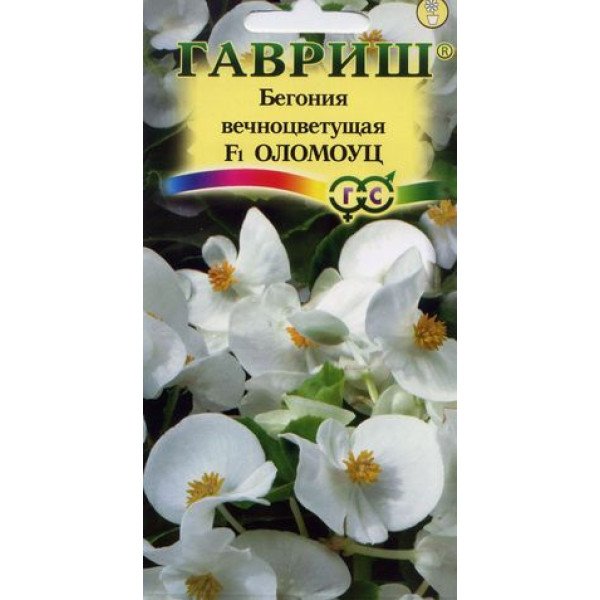Семена бегонии Оломоуц F1 /5 семян/ *Гавриш*