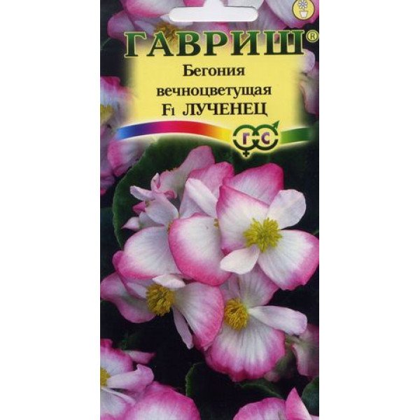 Насіння бегонії Лученець F1 /5 насінин/ *Гавриш*