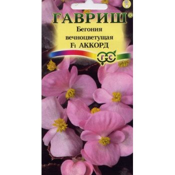 Бегония Аккорд F1 /5 семян/ *Гавриш*