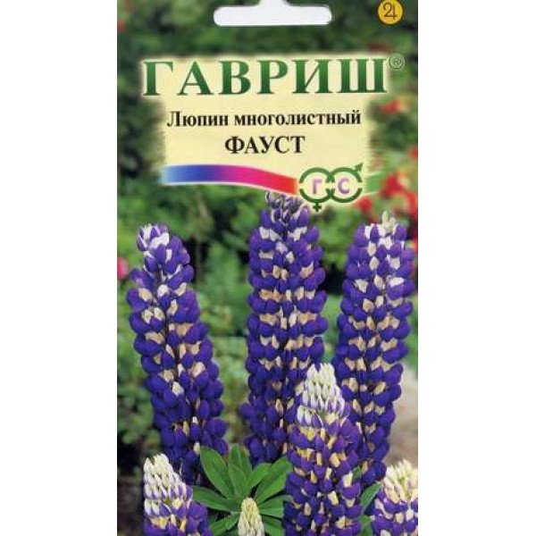 Насіння люпину багатолистого Фауст /0,5 г/ *Гавриш*