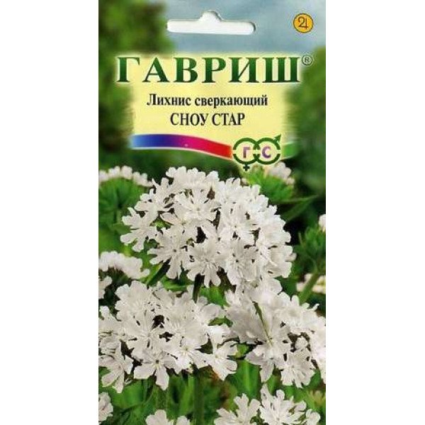 Насіння ліхнісу блискучого Сноу Стар /0,1 г/ *Гавриш*