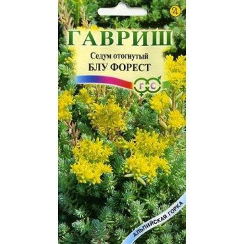 Седум Блу Форест /0,01 г/ *Гавриш*