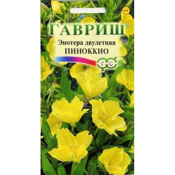 Насіння енотери дворічної Піноккіо /0,3 г/ *Гавриш*