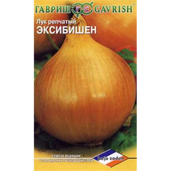 Насіння цибулі Ексібішен /0,2 г/ *Гавриш*