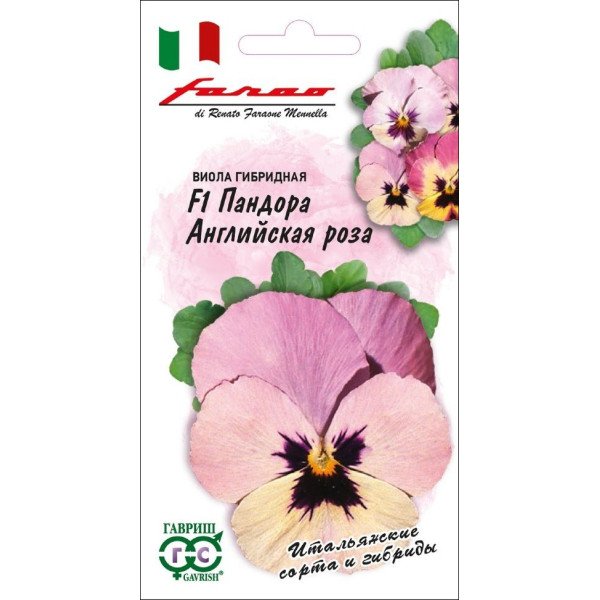 Насіння віоли Пандора F1 англійська троянда /5 насінин/ *Гавриш*