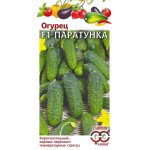 Огурец Паратунка F1 /5 семян/ *Гавриш*