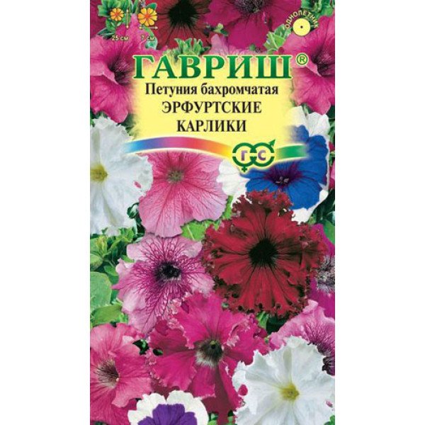 Насіння петунії Ерфуртські карлики /10 насінин/ *Гавриш*