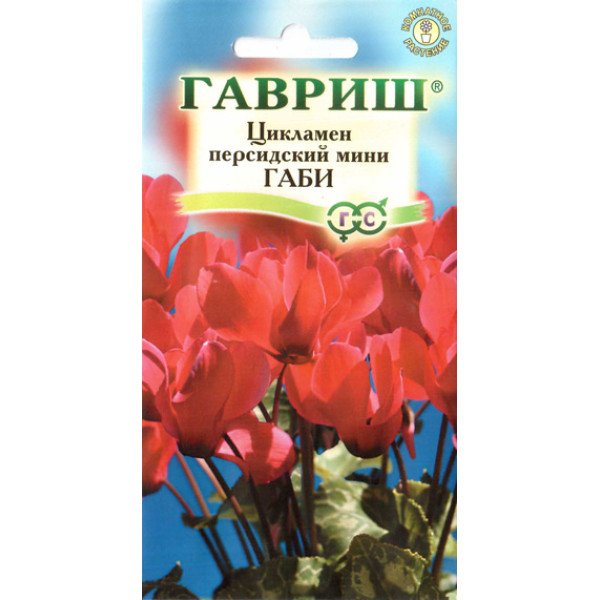 Насіння цикламена Габі /3 насінини/ *Гавриш*