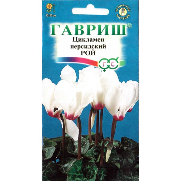 Семена цикламена Рой /3 семечка/ *Гавриш*