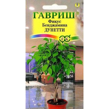 Фикус Бенджамина Дунетти /0,01 г/ *Гавриш*