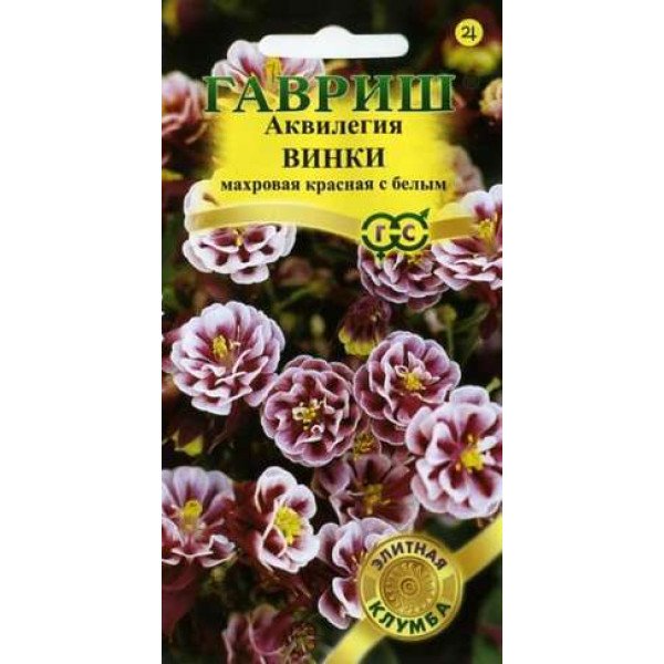 Семена аквилегии Винки красная с белым /5 семян/ *Гавриш*
