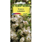 Кларкия Альбина изящная /0,1 г/ *Гавриш*