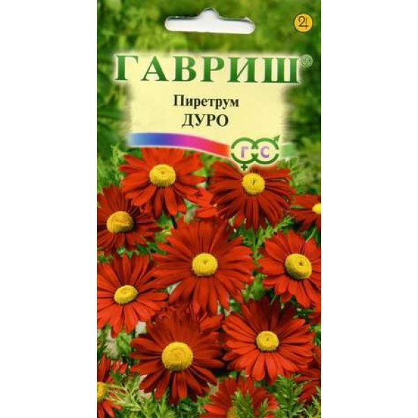 Семена пиретрума Дуро /0,2 г/ *Гавриш*
