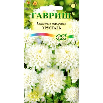 Скабиоза Хрусталь /0,5 г/ *Гавриш*
