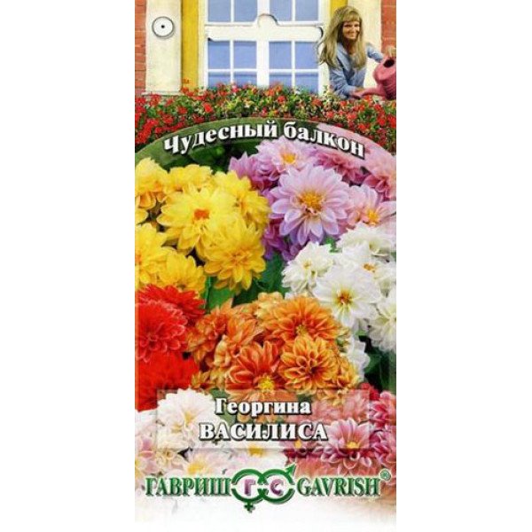 Георгина Василиса /0,3 г/ *Гавриш*