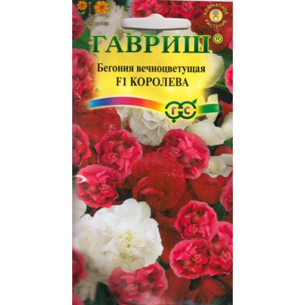 Бегония Королева F1 /4 семечка/ *Гавриш*