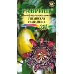 Пасифлора чотиригранна Гігантська гранаділла /5 насінин/ *Гавриш*