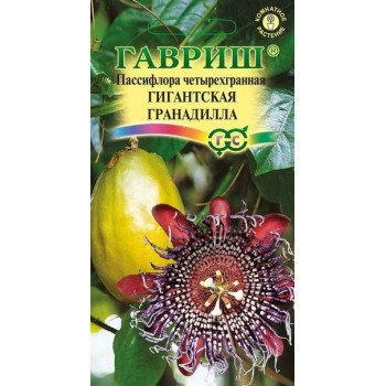 Пассифлора четырехгранная Гигантская гранадилла /5 семян/ *Гавриш*