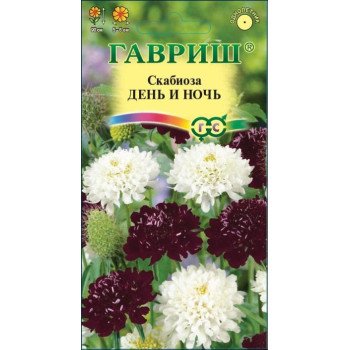 Скабиоза День и ночь смесь /0,2 г/ *Гавриш*