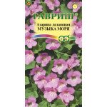 Азарина Музыка моря /5 семян/ *Гавриш*
