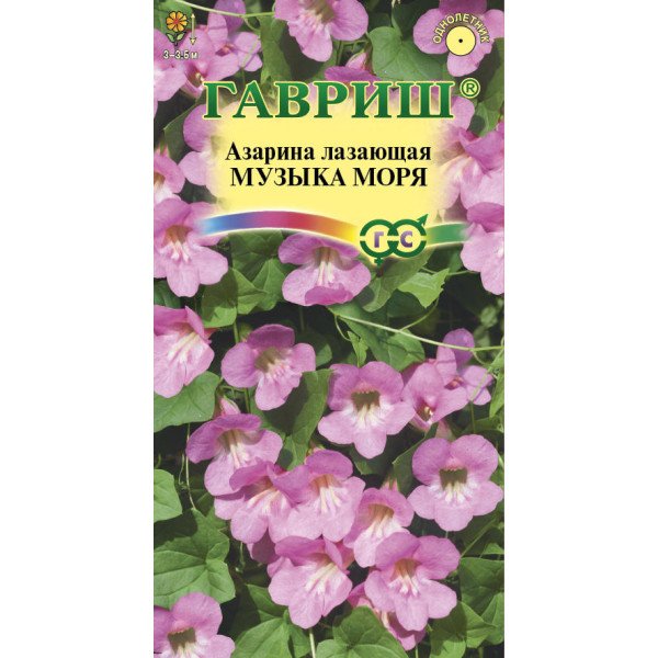 Насіння азаріни Музика моря /5 насінин/ *Гавриш*