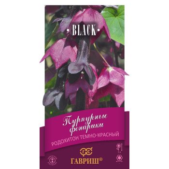 Родохитон Пурпурные фонарики /5 семян/ *Гавриш*
