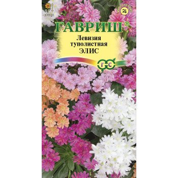 Левизия туполистная Элис /5 семян/ *Гавриш*