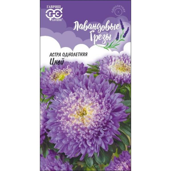 Семена астры Иней /0,3 г/ *Гавриш*