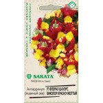 Львиный зев Флорал Шауэрс F1 биколор красно-желтый /10 семян/ *Гавриш*