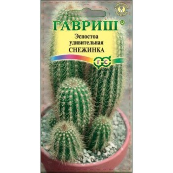 Эспостоа удивительная Снежинка /5 семян/ *Гавриш*