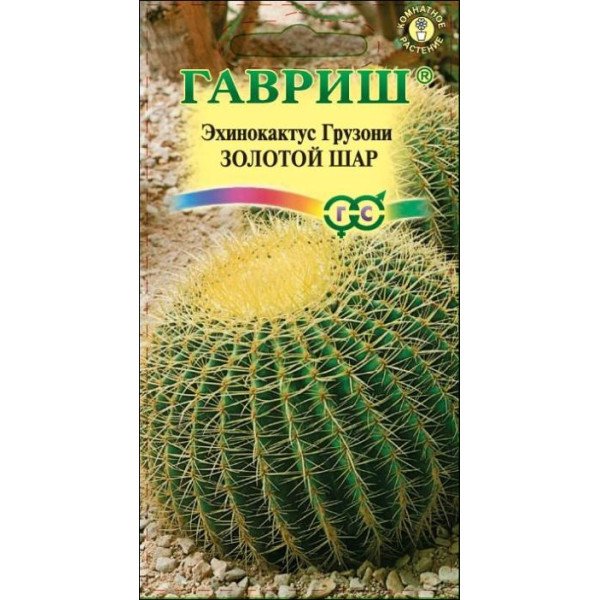 Семена эхинокактуса Грузона Золотой шар /5 семян/ *Гавриш*