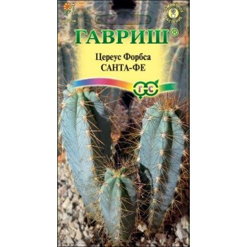 Цереус Форбса Санта-Фе /5 семян/ *Гавриш*