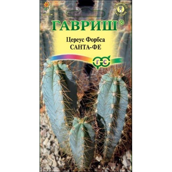 Семена цереуса Форбса Санта-Фе /5 семян/ *Гавриш*