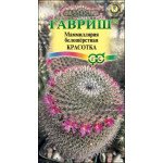 Маммиллярия белошёрстная Красотка /2 семечка/ *Гавриш*