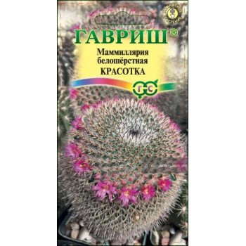 Маммиллярия белошёрстная Красотка /2 семечка/ *Гавриш*