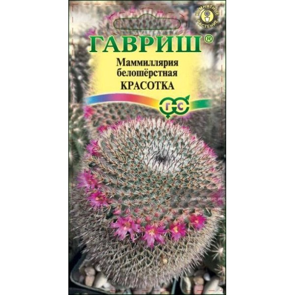 Насіння мамілярії білошерста Красуня /2 насінини/ *Гавриш*