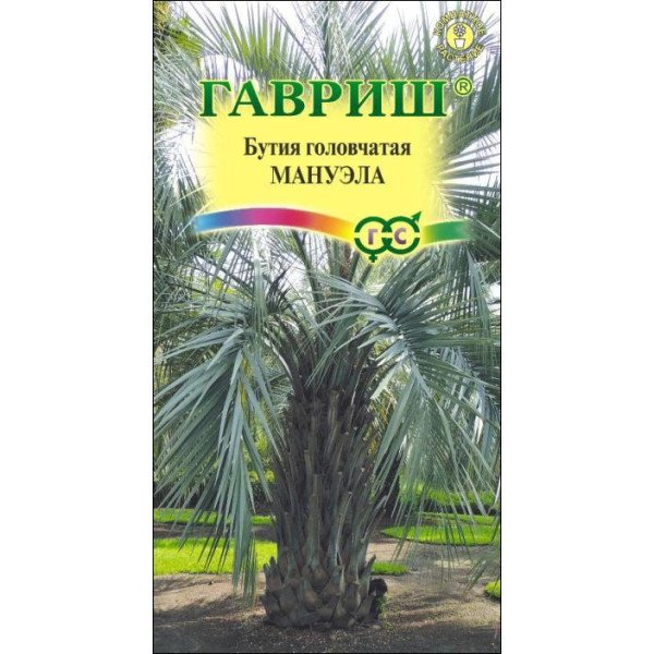 Семена вербены Мануэла /3 семян/ *Гавриш*