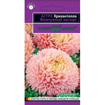 Астра Хризантелла Жемчужный восторг /0,05 г/ *Гавриш*