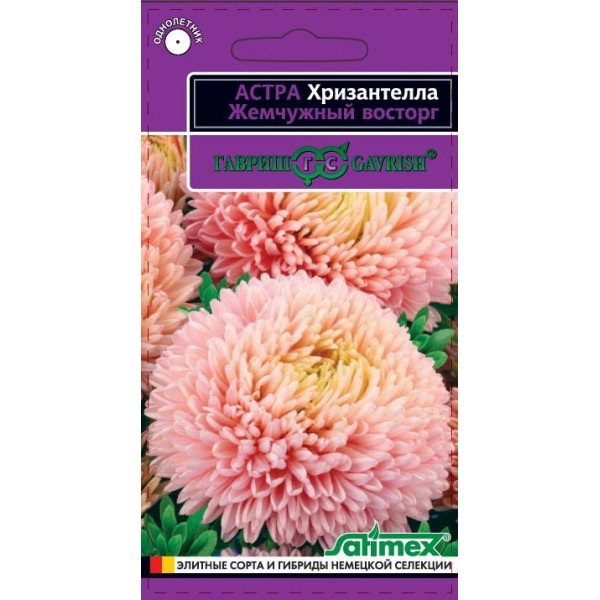 Семена астры Хризантелла Жемчужный восторг/0, 05 г/ *Гавриш*