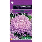 Айстра Хризантелла Бузковий захват /0,05 г/ *Гавриш*