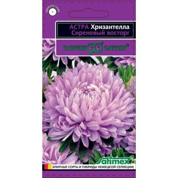 Астра Хризантелла Сиреневый восторг /0,05 г/ *Гавриш*