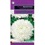 Айстра Хризантелла Сніговий захват /0,05 г/ *Гавриш*